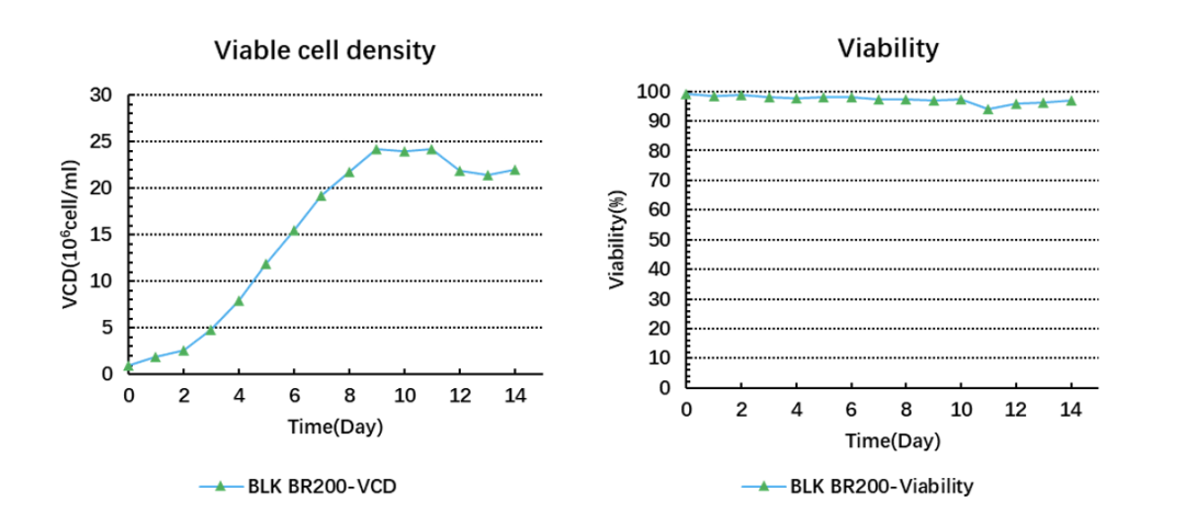 1702001987212333.png 表2.png