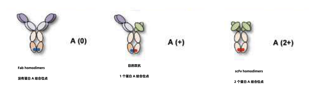 1702017602384606.png 640.png