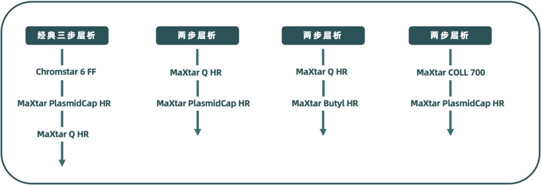 1702019997652058.png 640 (4).png