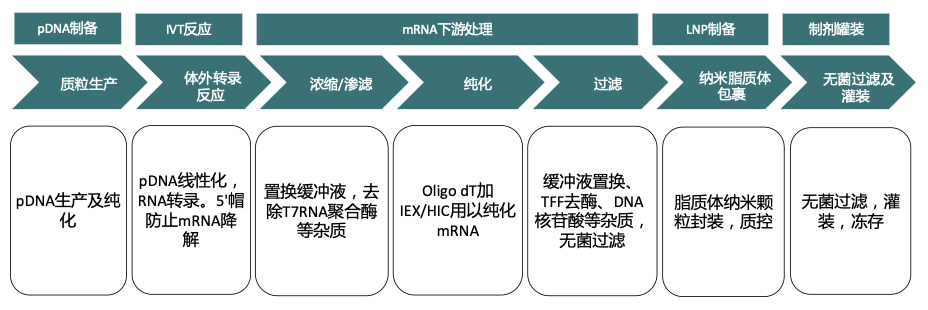 1702027975234895.png 640 (3).png