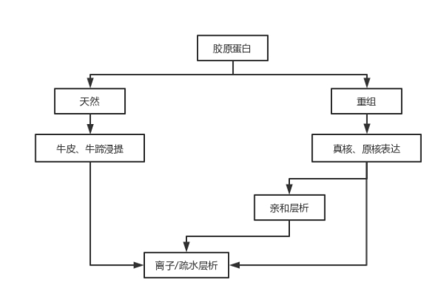 1702273360832919.png 640 (11).png