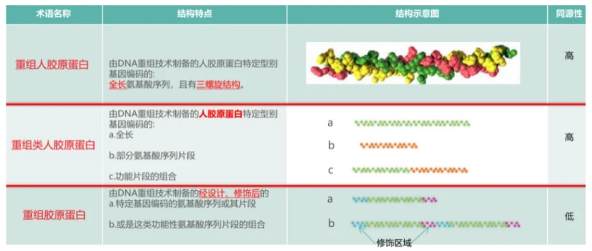 1702273408326947.png 640.png