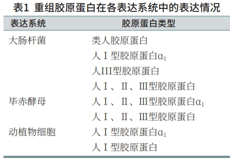 1702273466957002.png 640 (1).png