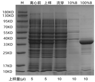 1702273732783523.png 640 (5).png