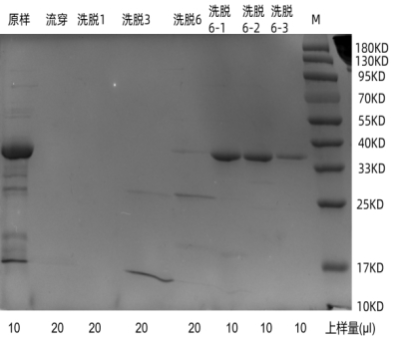 1702273778258594.png 640 (7).png