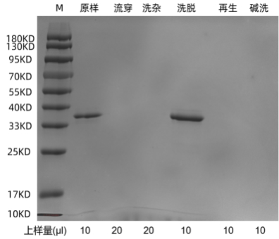 1702273908496421.png 640 (10).png