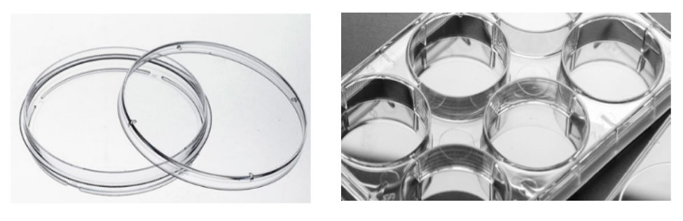 1702277354116446.png 微信图片_20231211145144.png