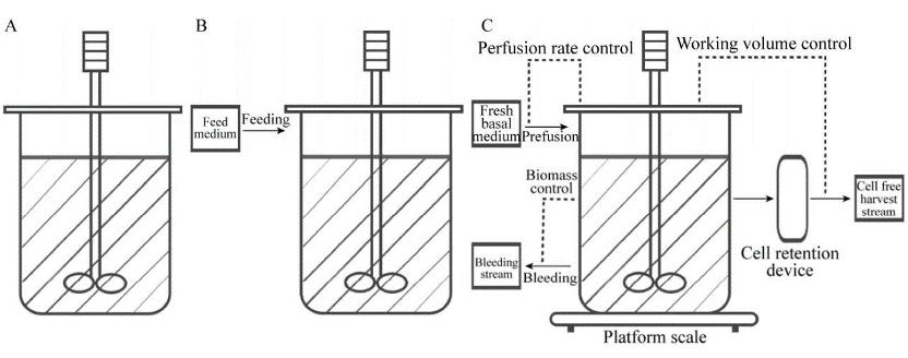 1702282760662504.png 640 (4).png