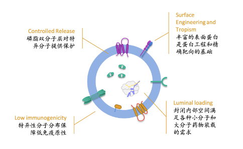 1702348644385273.png 640 (9).png