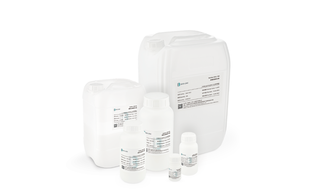 1702348743859421.png 640 (13).png