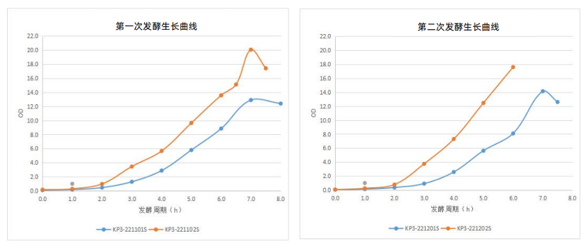 1702349660630178.png 640 (20).png