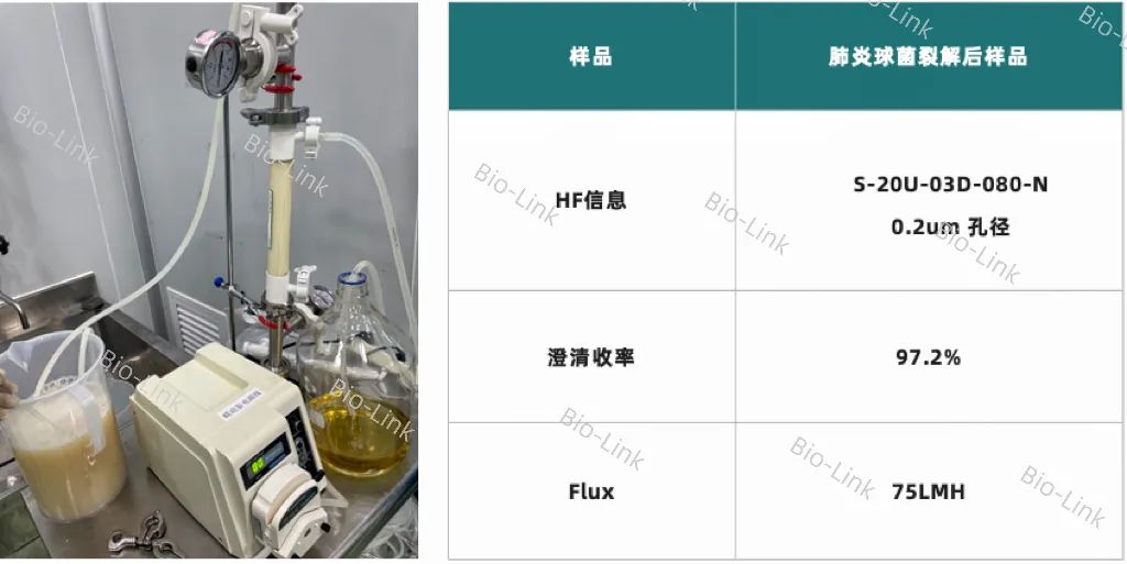 1702349718191012.jpg 640 (1).jpg