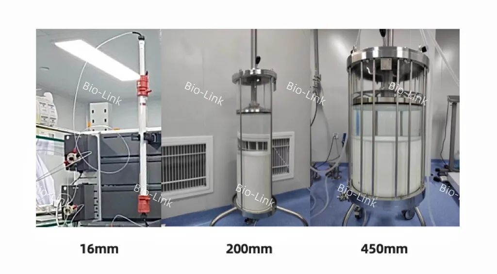 1702349851844537.jpg 640 (3).jpg