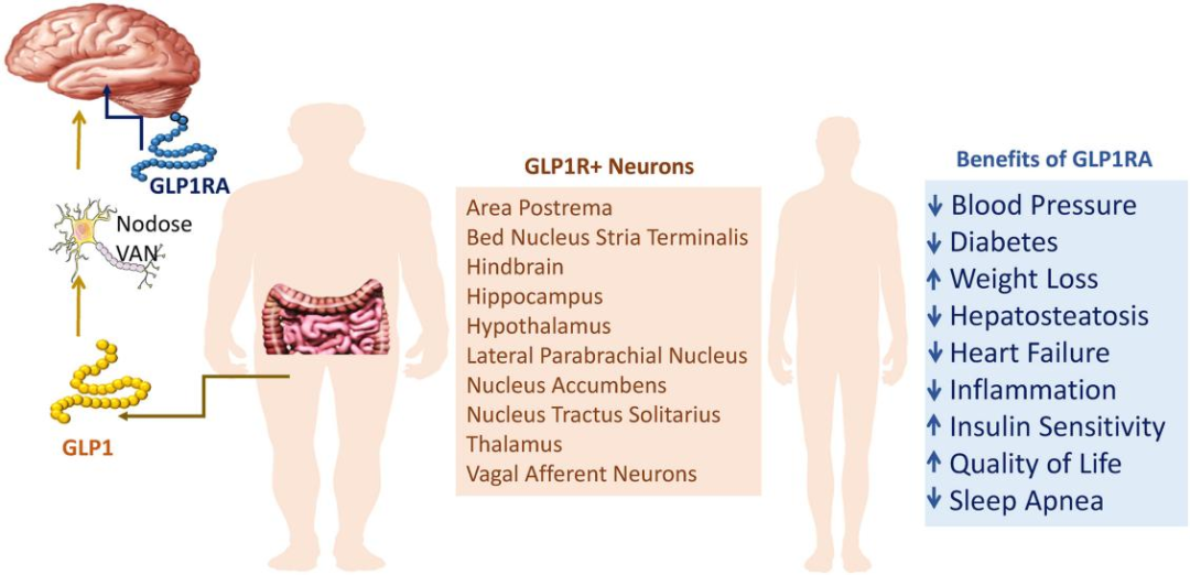 1702351627532561.png 640 (25).png