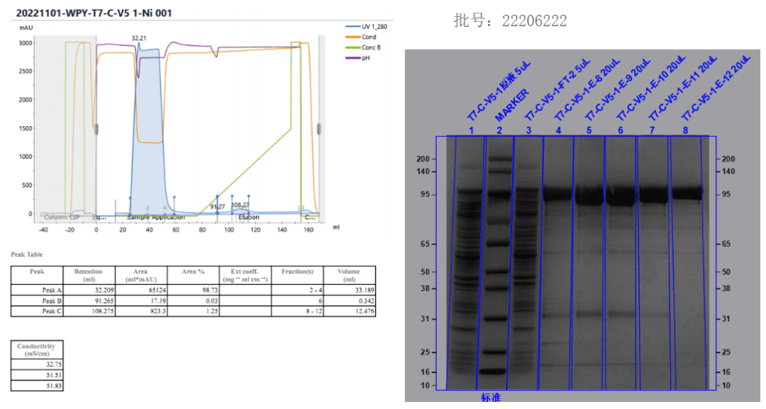 1702351724196414.png 640 (29).png