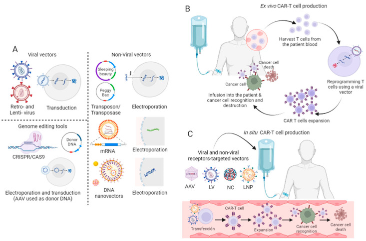 1702360525391195.png 640 (6).png