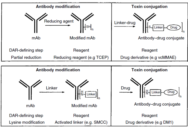 1702430542177074.png 微信图片_20231213092459.png