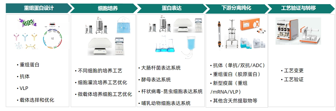 1713174919299589.png 改改改改改Gigi222222.png
