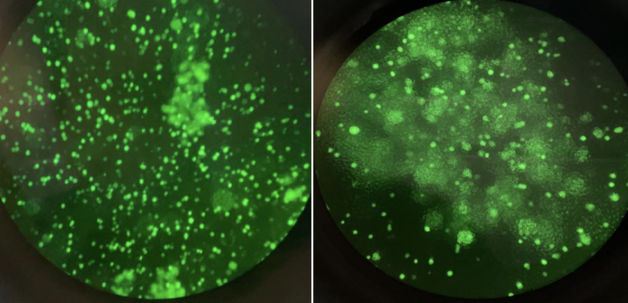 1723196056253906.png 微信图片_20240809173324.png