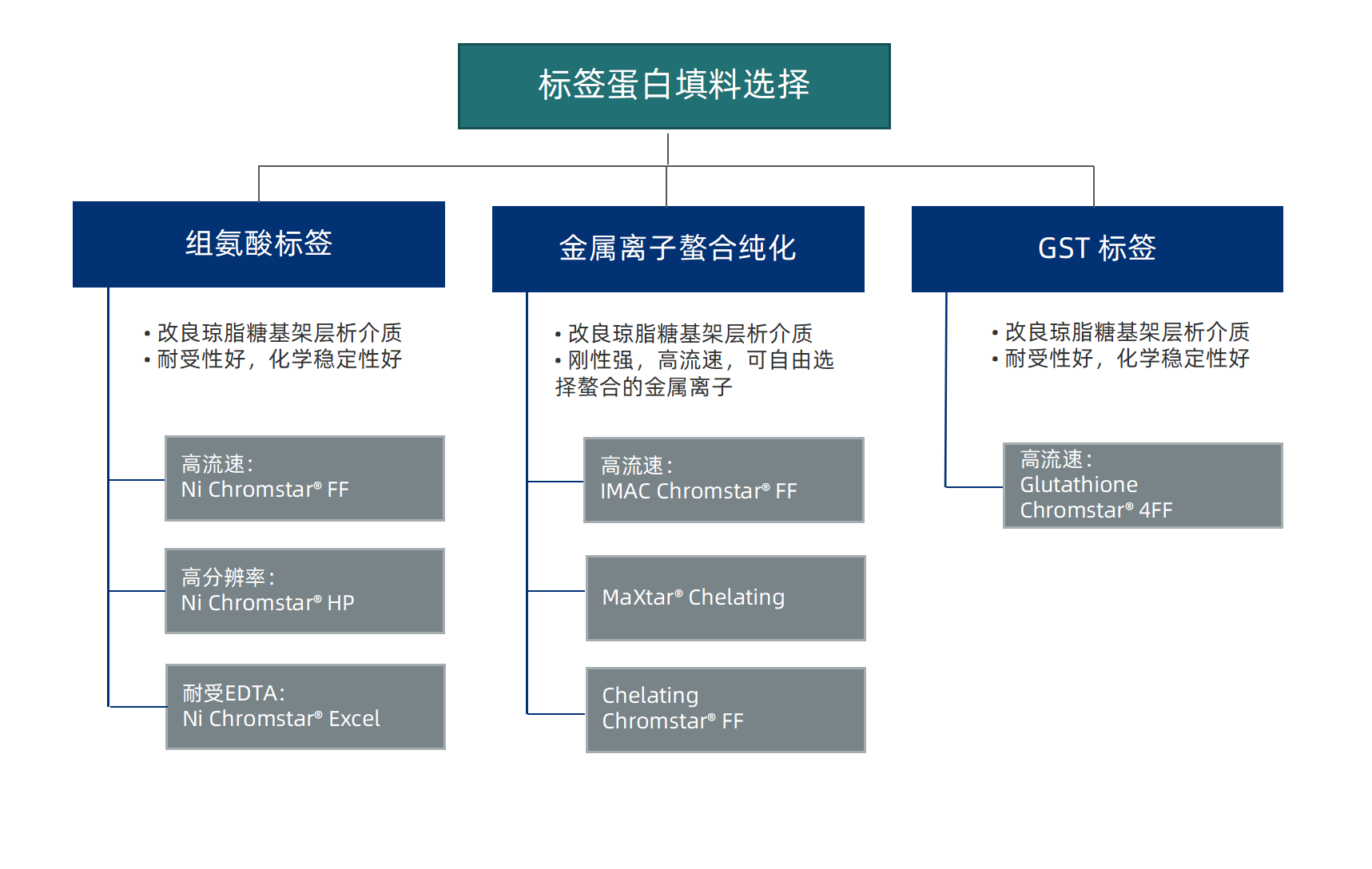 ͲƷӦýչƷԷ 2024.08.30 - _01(1).png