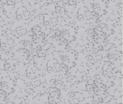 1731036760590775.png d39bc71d15fe974a20ecde271adde3c3.png