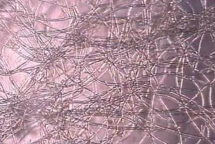 1731037128950219.png 5e1db9e7d2cc17c502aae98d64792edd.png