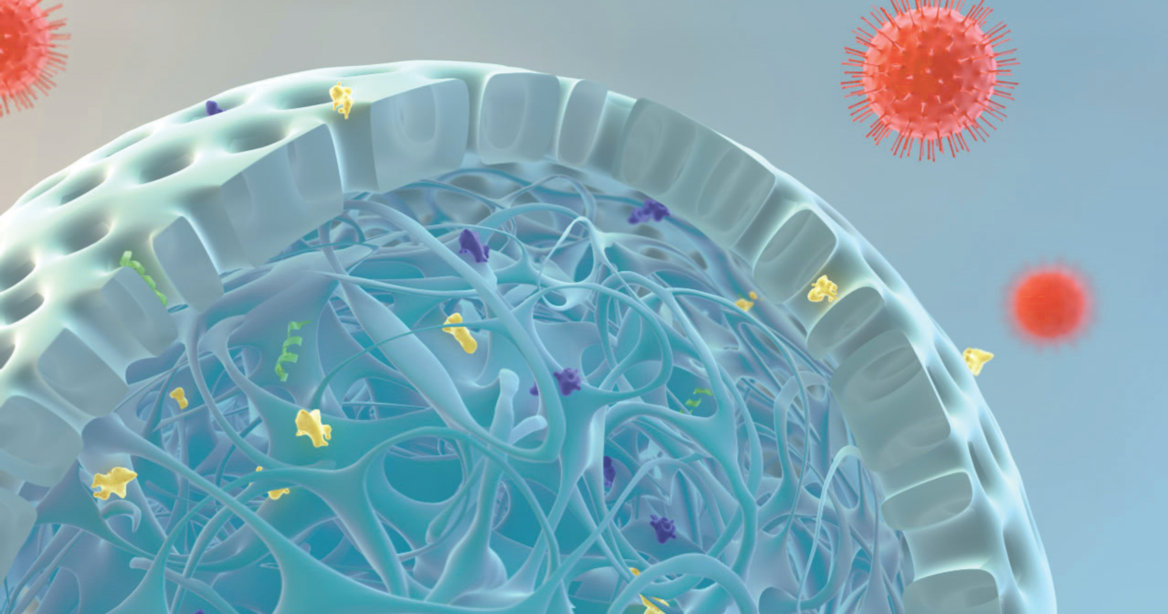 1732253643238289.png 图片4.png