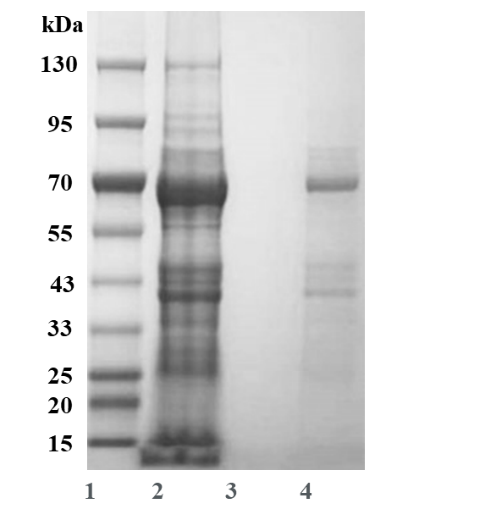 1733463339697498.png 图片6.png