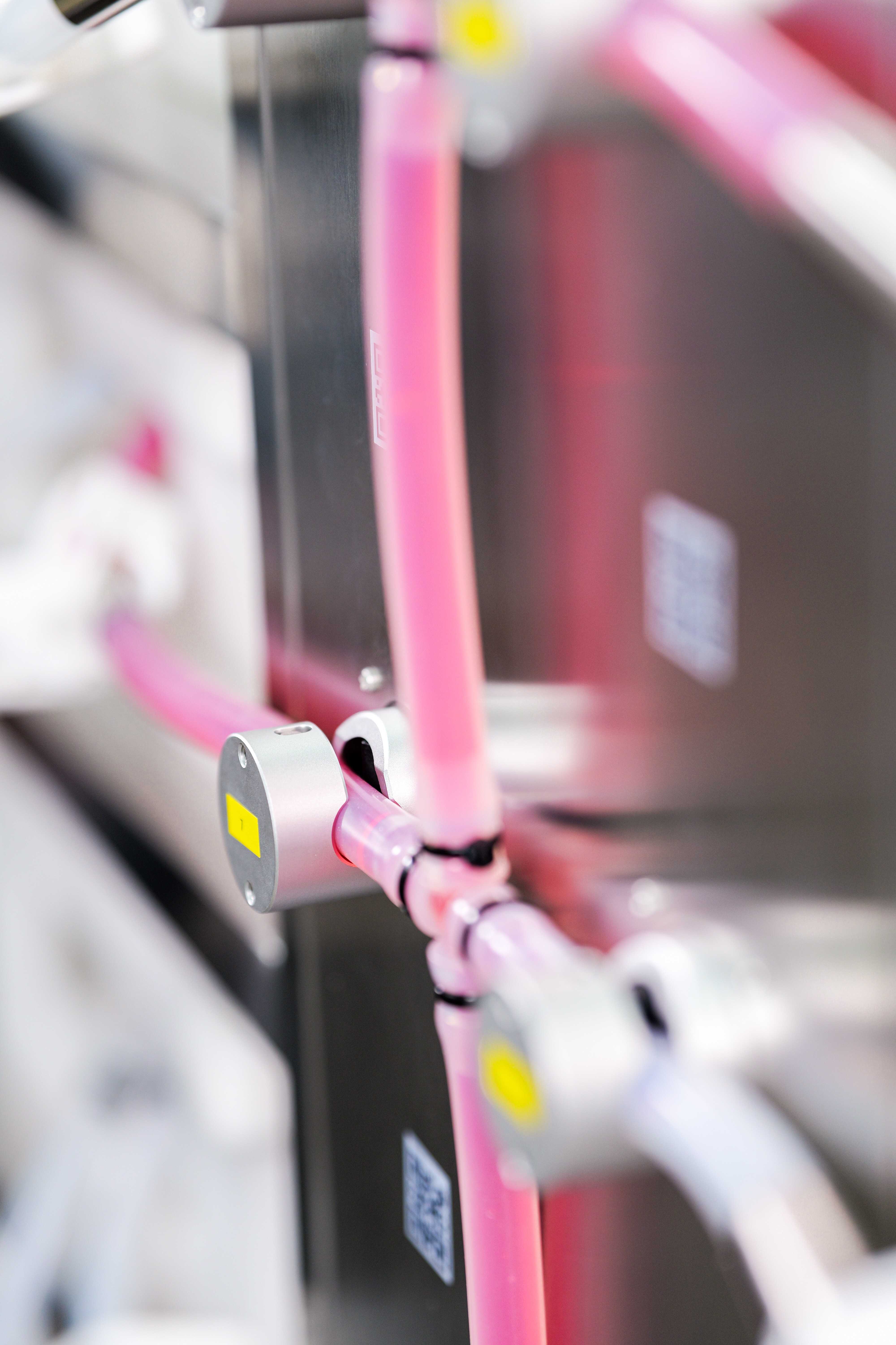 1734677865300661.jpg P1649943(1)(1).jpg