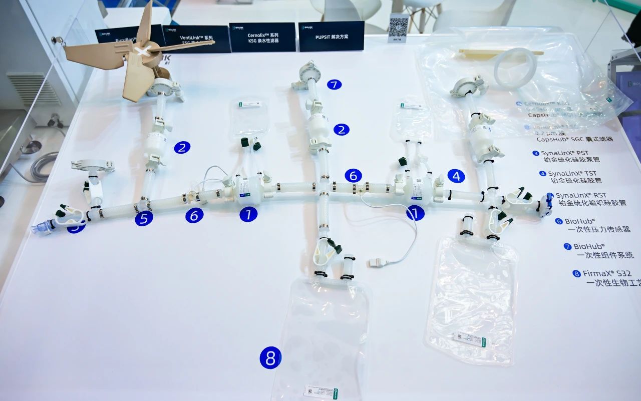 1746005934330739.jpg 12.jpg