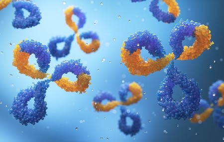 βͻΧ“”ʼйĹʵ