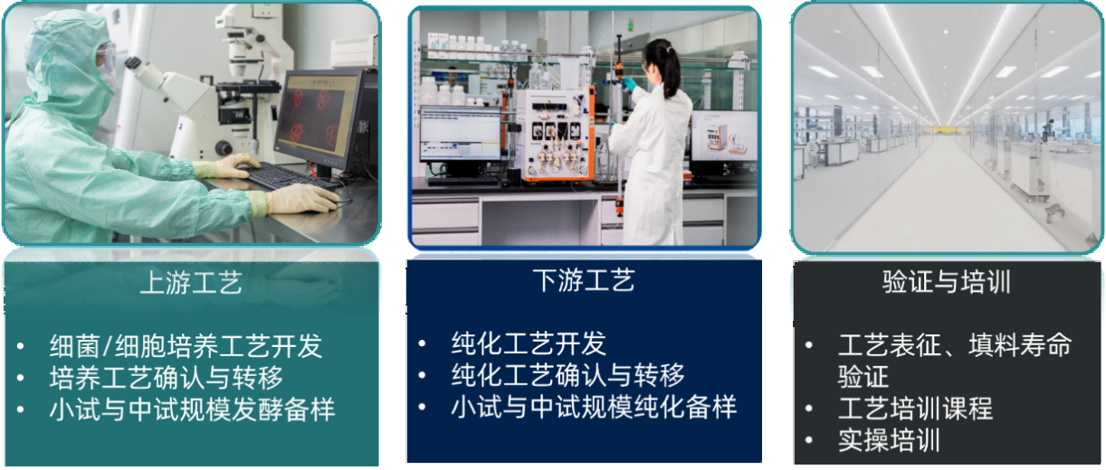 1750402385444731.png 图片9(1).png