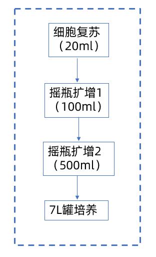 1757062711843133.jpg 图片3.jpg