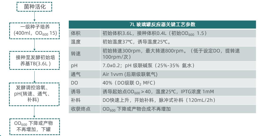 1757064170891118.jpg 图片16.jpg