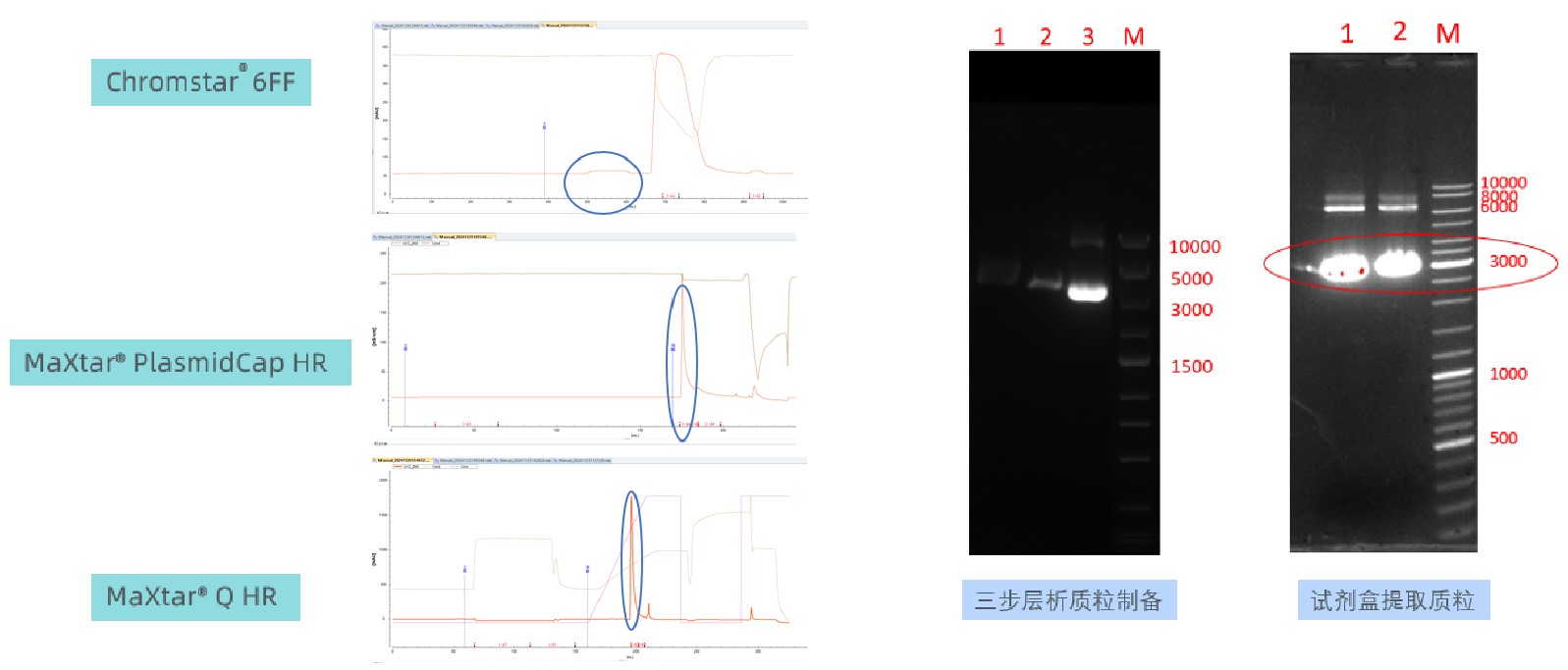 1757064510197772.jpg 图片21.jpg
