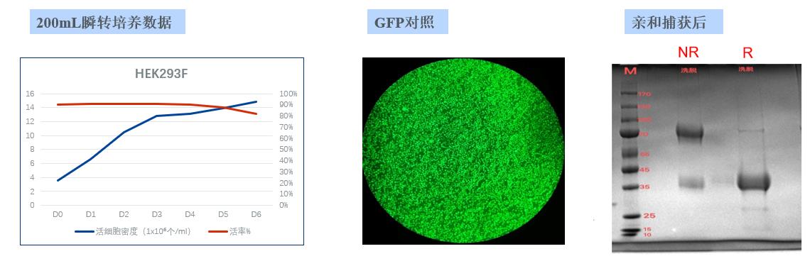 1757064554813138.jpg 图片9.4 1.jpg