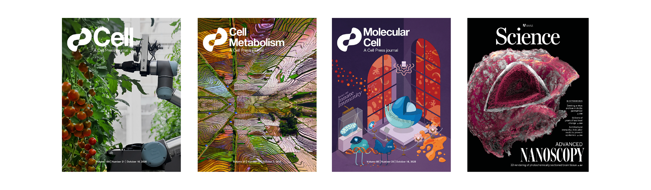 ١˼ɡ֡ ơ˶--03.png