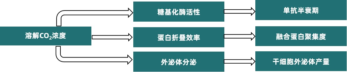 1761287236783884.jpg 图片1更新.jpg