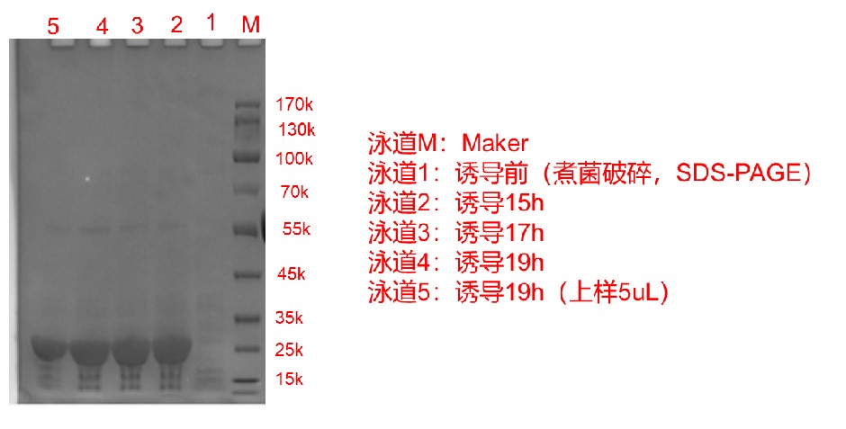 1761294912559585.jpg 图片4.jpg