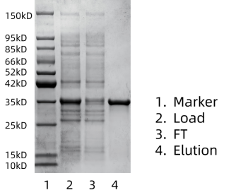 1763096805133723.png 图片2.png